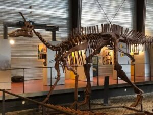 Musée des dinosaures d'Esperaza