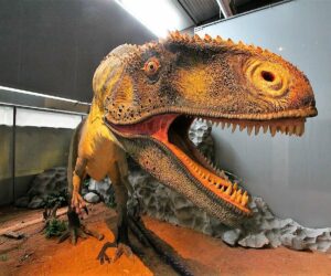 Musée des dinosaures Esperaza